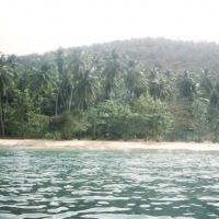 Foto de Puerto la Cruz