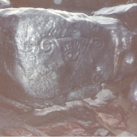 Foto de Puerto Ayacucho