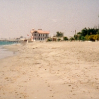 Foto de Mejillones