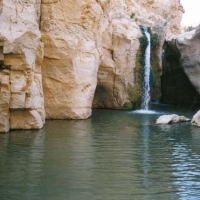 Foto de Tamerza
