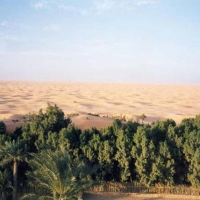 Foto de Ksar Ghilane