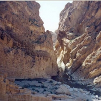 Foto de Metlaoui