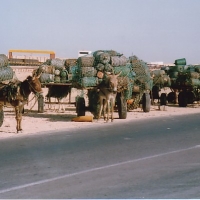Foto de Nouadhibou