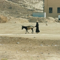 Foto de Sanaa