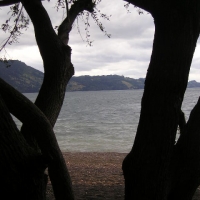 Foto de Pukon IX region