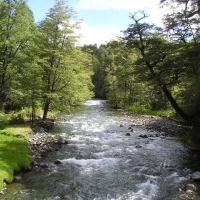 Foto de Pucon