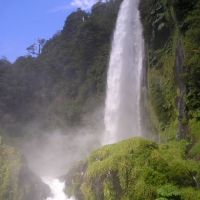 Foto de Pucon