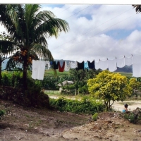 Foto de camaguey
