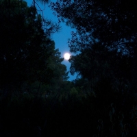 Foto de Helechosa de los Montes