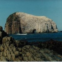 Foto de Constitución