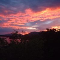 Foto de Morrocoy