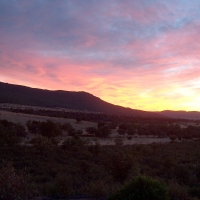 Foto de Helechosa de los Montes