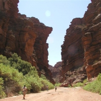 Foto de Parque Nacional Talampaya