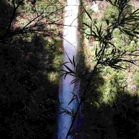 Foto de Villarrica