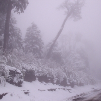 Foto de Villarrica