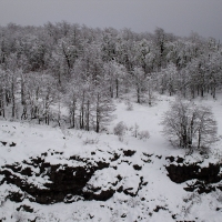 Foto de Villarrica