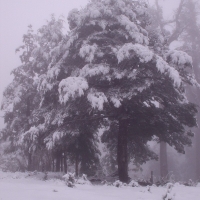 Foto de Villarrica