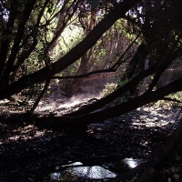 Foto de Las Petras