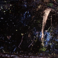 Foto de Las Petras
