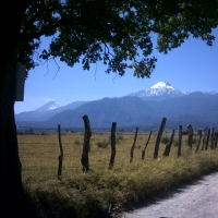 Foto de COLIMA