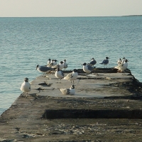 Foto de Nassau