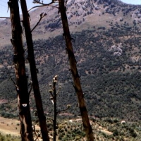 Foto de Jimera de Líbar