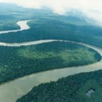 Foto de Amazonas