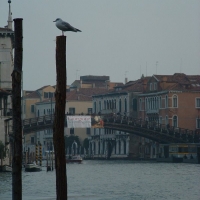 Foto de Venecia - Venice