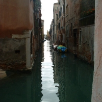 Foto de Venice