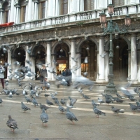 Foto de Venecia - Venice