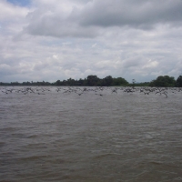 Foto de El Río San Juan