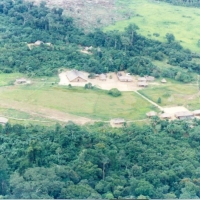 Foto de Amazonas