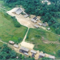 Foto de Amazonas