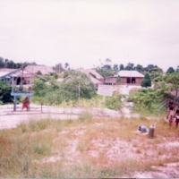Foto de Taraira