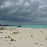 Foto de Nassau - Lyfor Cay