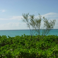 Foto de Nassau