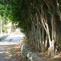 Foto de Nassau