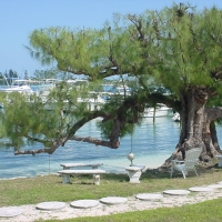Foto de Nassau Yatch Club