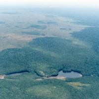 Foto de Amazonas