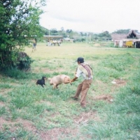 Foto de La Macarena