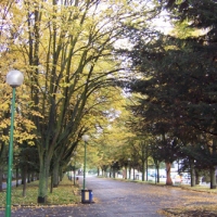 Foto de Burgos