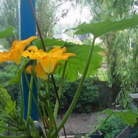 Foto de De Pinte