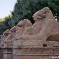 Foto de Luxor