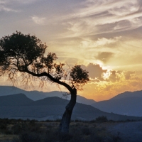 Foto de Almería