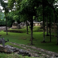 Foto de Yaxchilán