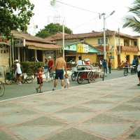 Foto de Tolu