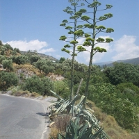 Foto de Almería