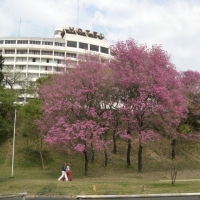 Foto de PARANA