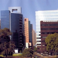 Foto de lima