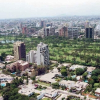 Foto de lima